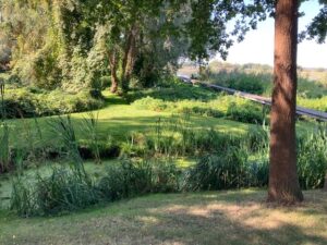 Blick über den Teich