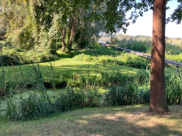 Blick über den Teich