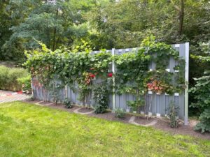 Garten mit Begrünung