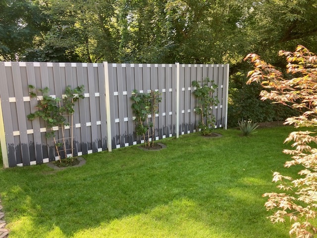 begrünter Gartenbereich