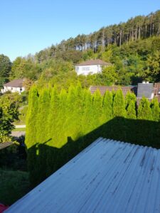 Blick von der Terrasse