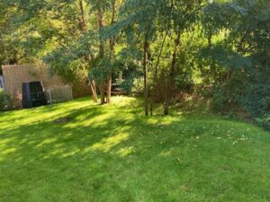 Gartenbereich
