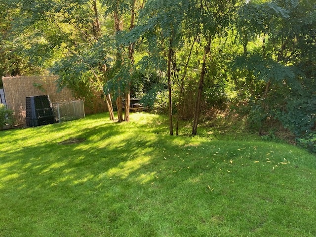 Gartenbereich