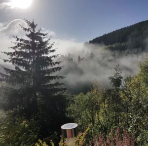 Auslick über das Grundstück