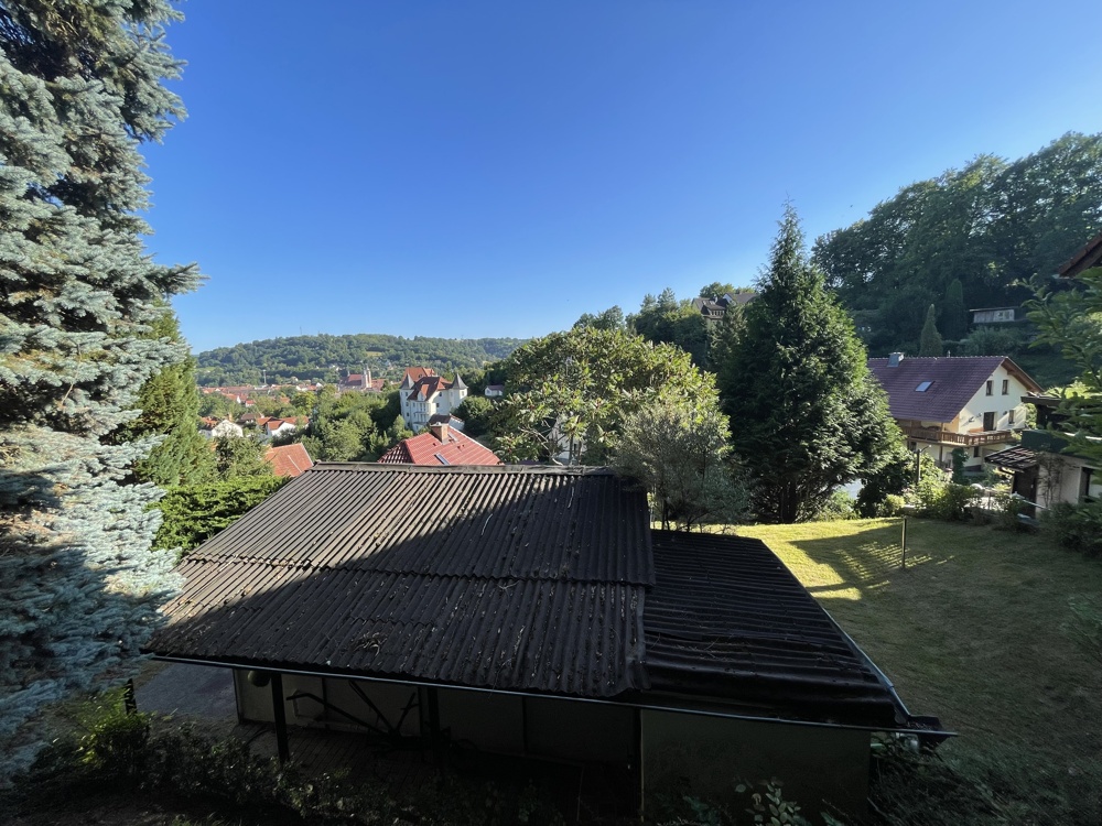 Ausblick (2)